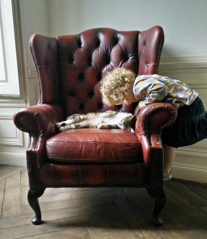 Chateau De Seurre - No Boring People Please - O6-Io-66-95-83 Bed and Breakfast Buitenkant foto